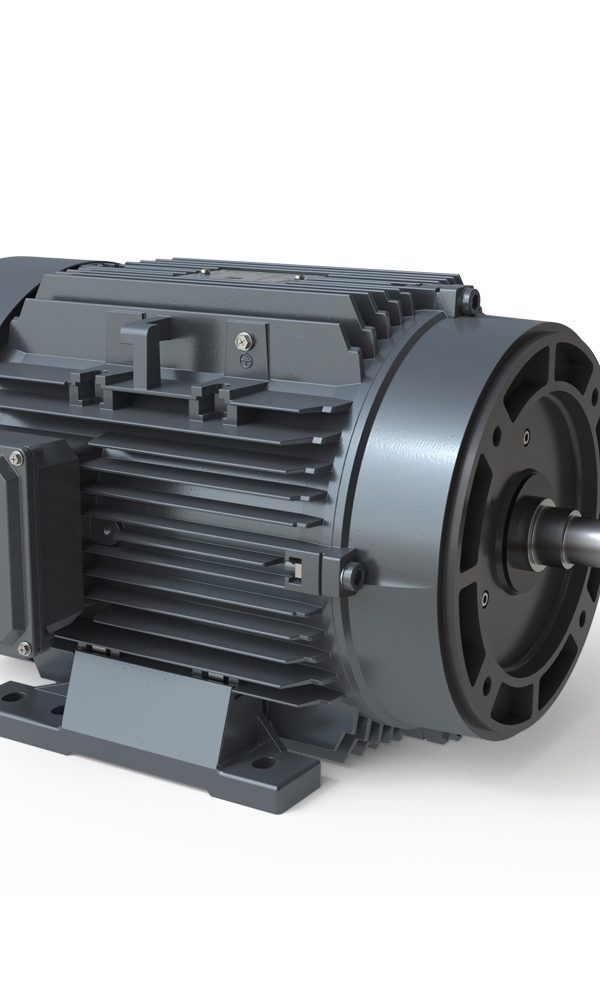 Electric Pump Motors