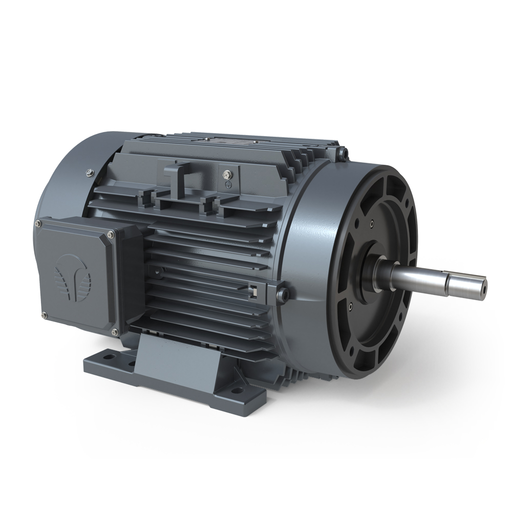 Electric Pump Motors