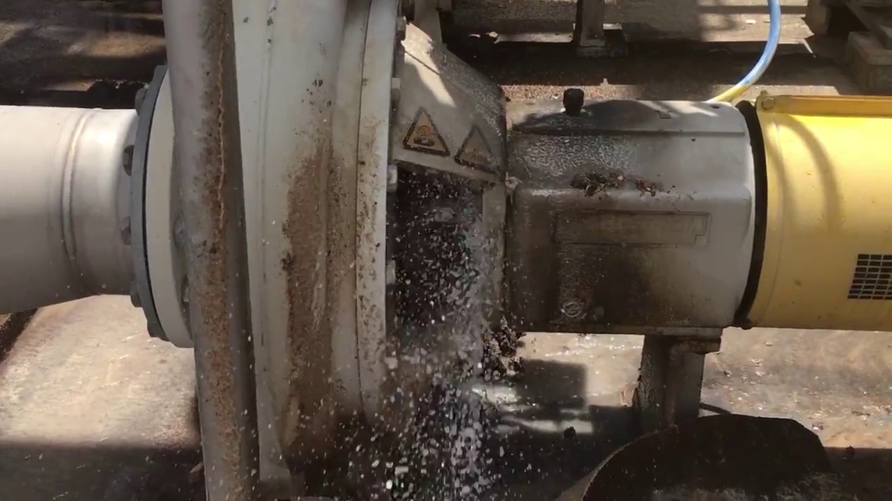 Common reasons pump seals leak